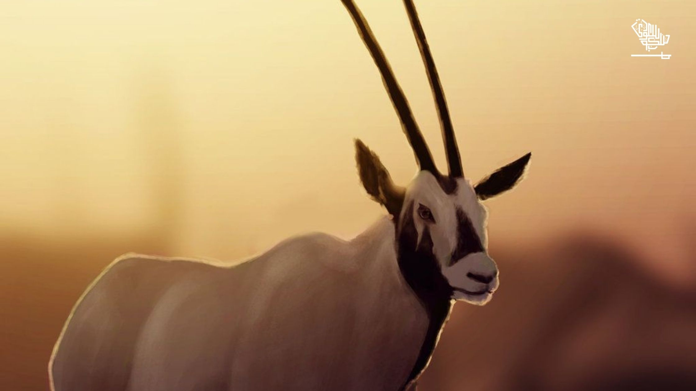 Arabian Oryx
