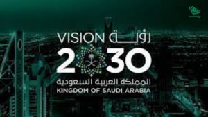 vision 2030