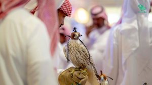 Saudi International Falcon and Hunting Exhibition opened for visitors