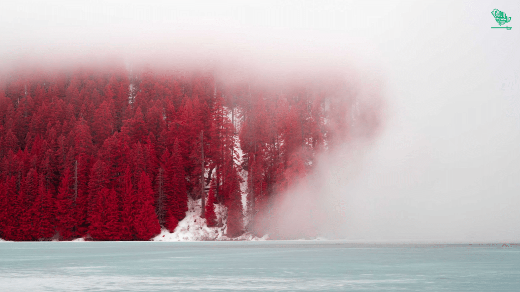 Photography Mountain Climber Lifestyle Photography Talented Adventure Photographer Saudiscoop Lost-Lake-(Oregon).