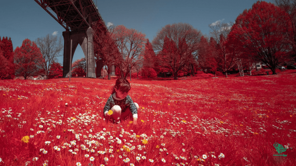 Cathedral-Park-(Portland-Oregon) Photography Mountain Climber Lifestyle Photography Talented Adventure Photographer Saudiscoop