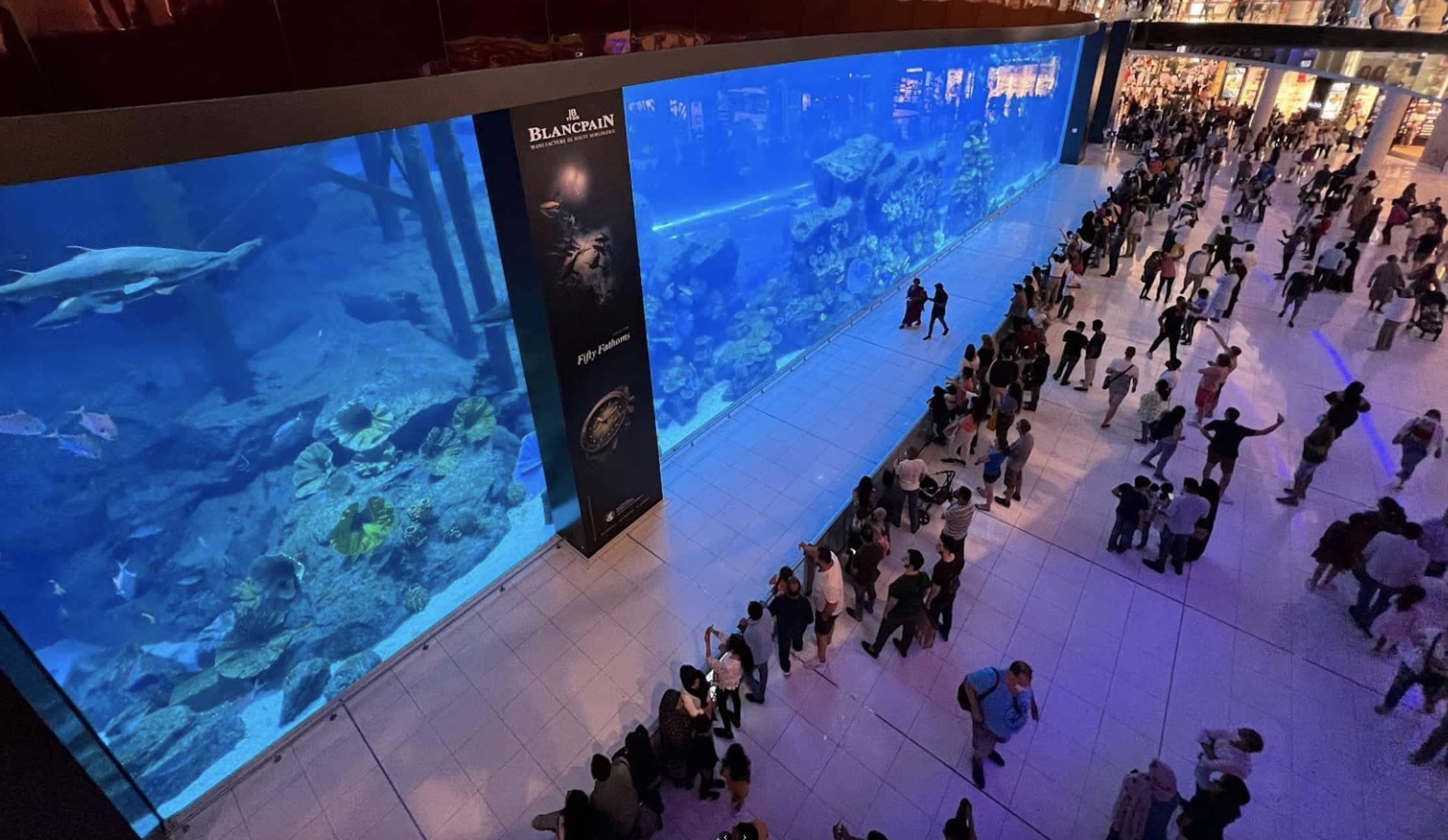 Indoor Aquarium Dubai Mall