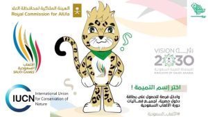 Arabian Leopard Saudi Games Mascot Saudiscoop