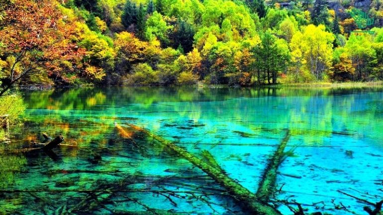 Crystal blue lake, Jiuzhaigou National Park-top-7-must-visit-places-of-the-world-and-why-saudiscoop (1 (15)