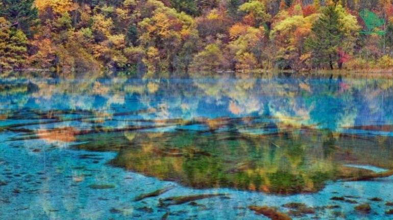 Crystal blue lake, Jiuzhaigou National Park-top-7-must-visit-places-of-the-world-and-why-saudiscoop (1 (17)