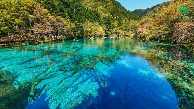 Crystal blue lake, Jiuzhaigou National Park-top-7-must-visit-places-of-the-world-and-why-saudiscoop (1 (18)