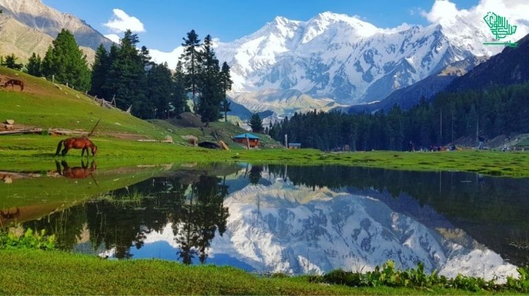Fairy Meadows, Gilgit-Baltistan, Pakistan-top-7-must-visit-places-of-the-world-and-why-saudiscoop (22)