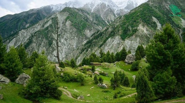 Fairy Meadows, Gilgit-Baltistan, Pakistan-top-7-must-visit-places-of-the-world-and-why-saudiscoop (24)