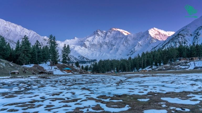 Fairy Meadows, Gilgit-Baltistan, Pakistan-top-7-must-visit-places-of-the-world-and-why-saudiscoop (25)
