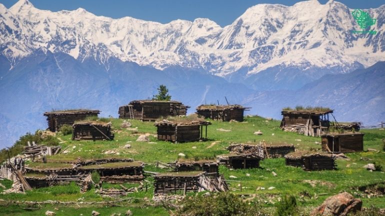 Fairy Meadows, Gilgit-Baltistan, Pakistan-top-7-must-visit-places-of-the-world-and-why-saudiscoop (26)