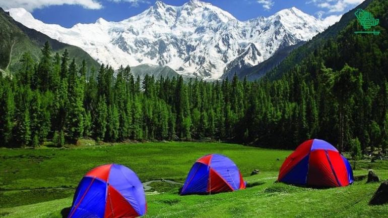 Fairy Meadows, Gilgit-Baltistan, Pakistan-top-7-must-visit-places-of-the-world-and-why-saudiscoop (27)