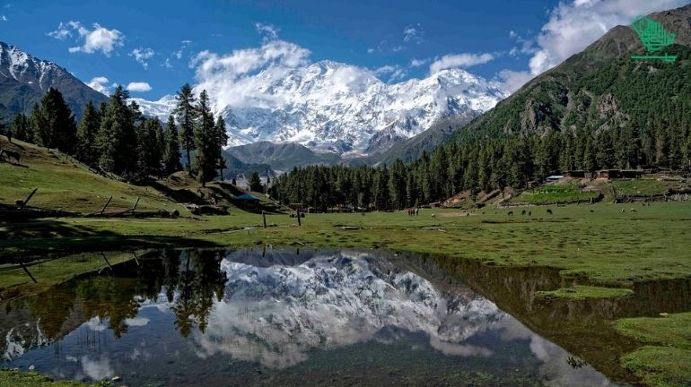Fairy Meadows, Gilgit-Baltistan, Pakistan-top-7-must-visit-places-of-the-world-and-why-saudiscoop (28)