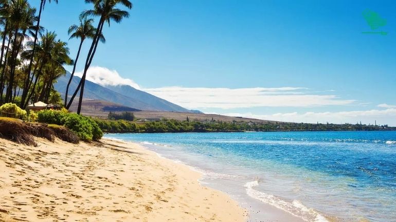 Maui, Hawaii-top-7-must-visit-places-of-the-world-and-why-saudiscoop (2)