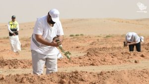 ksrnr-planting-half-million-trees-Saudiscoop