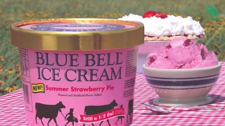 Bluebell-top-10-ice-cream-brands-world-saudiscoop (8)