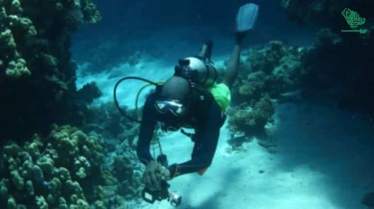 Dolphin Free Diver yanbu-places-explore-yanbu-ksa-saudiscoop (5)