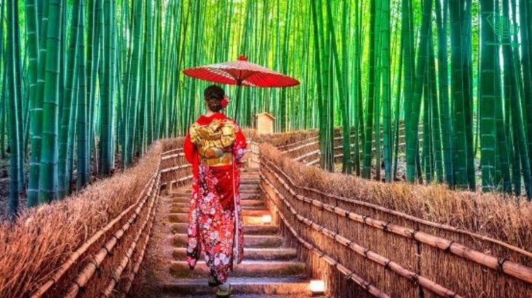 The best top 10 countries with the tasty food, dish & cuisines Japan Japanese Cuisine deserts Saudiscoop (5)