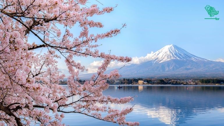 The best top 10 countries with the tasty food, dish & cuisines Japan Japanese Cuisine deserts Saudiscoop (7)