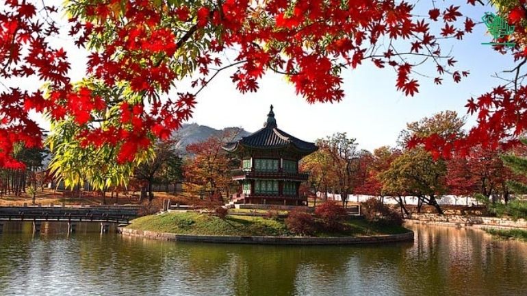 The best top 10 countries with the tasty food, dish & cuisines Korea Korean Cuisine K-Dishes Saudiscoop (3)