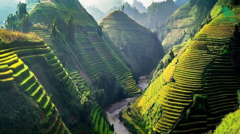 The best top 10 countries with the tasty food, dish & cuisines Vietnam Vietnamese Cuisine Saudiscoop (2)