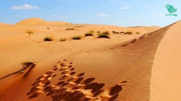 desert Safari Yanbu places-explore-yanbu-ksa-saudiscoop (1)