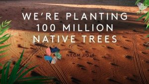 neom-regreening-initiative-plant-trees-saudiscoop