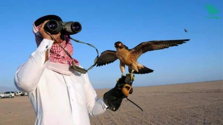 saudi-arabias-hunting-season-begins-saudiscoop