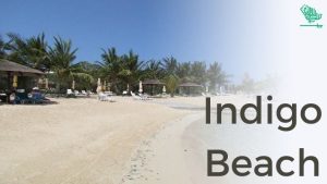 Indigo Beach-saudiscoop