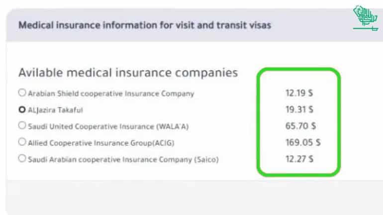 saudi-e-visa-application-guide-gcc-residents-saudiscoop (2)