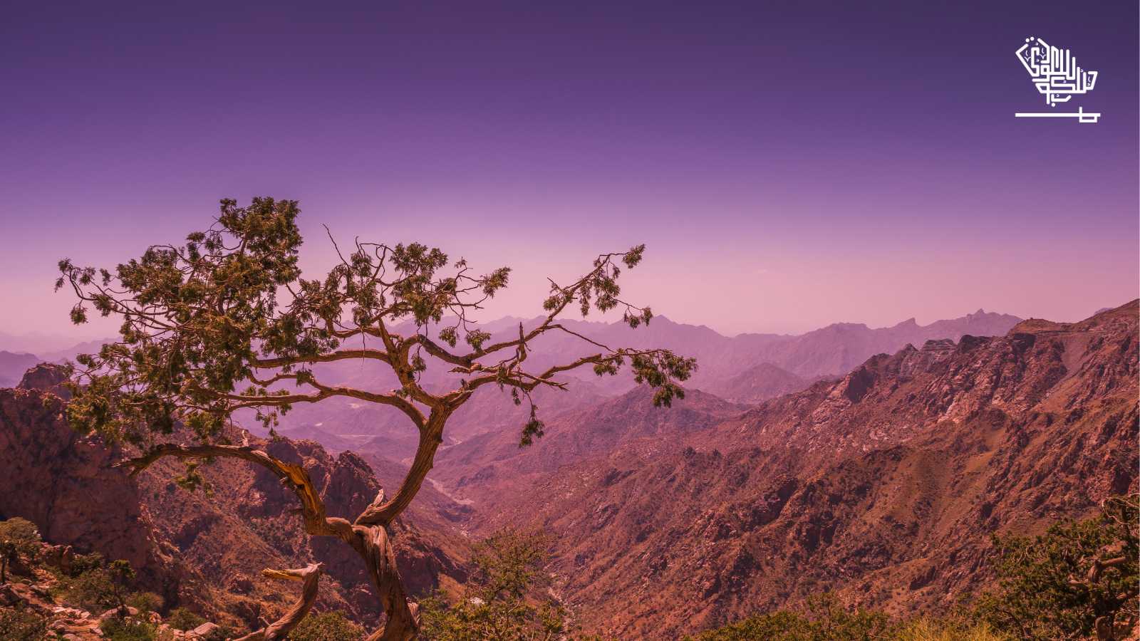 taif top places to visit