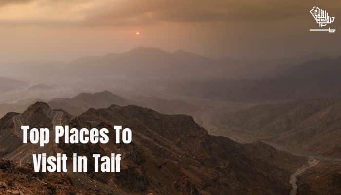 Top Places To Visit in Taif