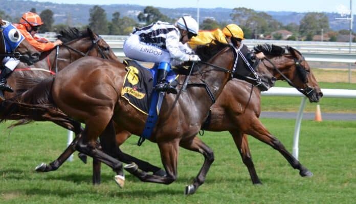 Saudi Cup Races Off in Style: Traditional Fashion Takes Center Stage