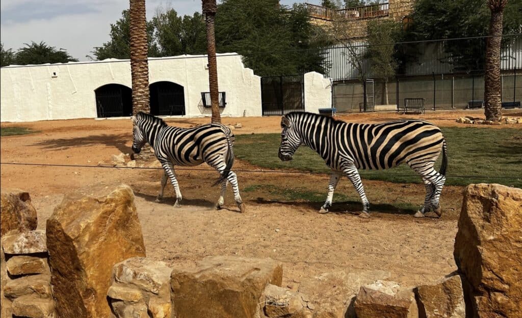 Riyadh Zoo