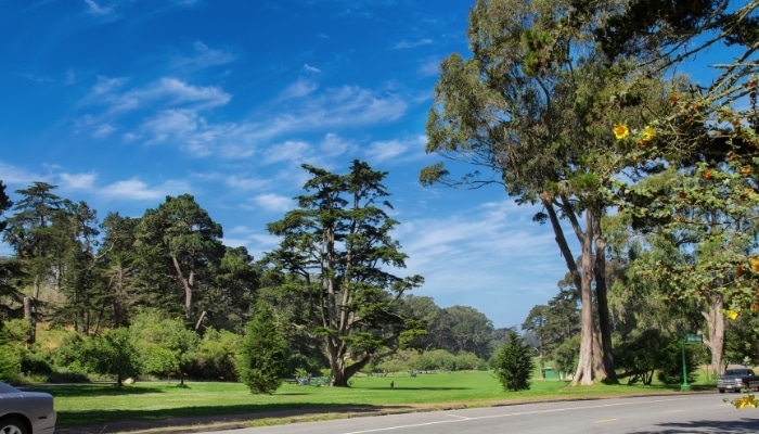 Golden gate park